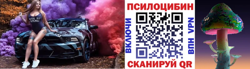 Галлюциногенные грибы Magic Shrooms  Купить закладки  Курганинск 